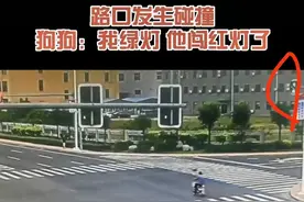 天津一电动车闯红灯被奔跑小狗撞翻，网友：狗狗是正常行驶图片
