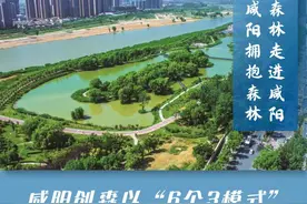 让森林走进咸阳 让咸阳拥抱森林图片