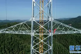 “高空舞者”：顶酷暑 忙建设图片