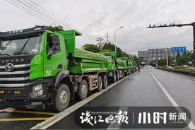 8辆工程车浩浩荡荡杭州街头组团“违法”，临安交警：抓图片