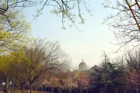 山东圣翰财贸职业学院21年办学历史欧式建筑遍布校园！C945图片