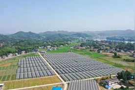 我们阔步在希望的田野上图片
