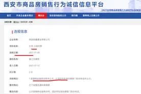 西安大华公园世家项目违规被查处 开发商为大华集团全资子公司图片