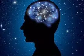 人脑重量会变轻！大脑功能“用进废退”，老年人更要勤用脑图片