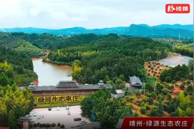靖州绿源生态农庄：杨梅之乡的舌尖之旅，从这个盛夏开始图片