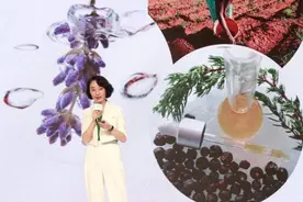 暑假过半，来自然博物馆体验沉浸式生物多样性主题游戏图片