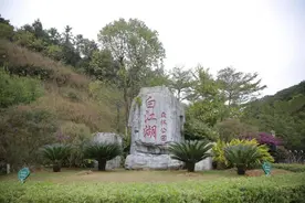 白江湖森林公园即将开园！三大景区等你来打卡图片