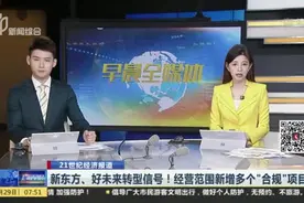 新东方、好未来转型信号！经营范围新增多个“合规”项目视频封面