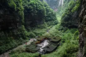 云游四方｜重庆又增一处世界自然遗产！原始森林是金丝猴的家园图片