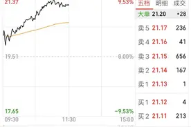 上半年业绩增逾10倍，鲁西化工股价大涨逾8%图片
