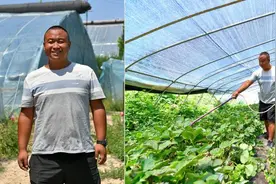 我们村里的年轻人：“果蔬大王”图片