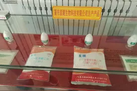 “七一”重要讲话精神在基层｜金黄玉米串起“黄金产业链”图片
