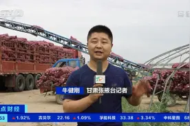 洋葱量价齐涨！国际市场需求增加，洋葱出口订单大增图片