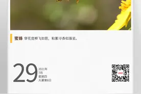 湖湘自然历丨甜蜜的“使者”图片