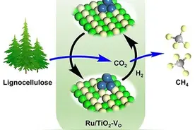科学家提出载体氧缺陷介导的生物质直接甲烷化新方法图片