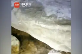 视频｜水獭叫声你听过吗？欧亚水獭一家三口现身青川唐家河图片