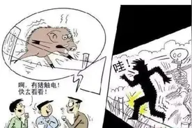 乳源4人私设电网摊上事了！野猪未电到却电死一村民图片