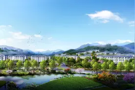 总投资超80亿！兰心国际康养小镇项目正式签约图片