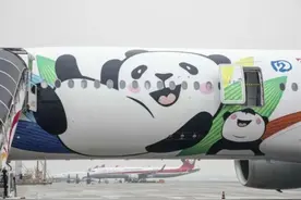 成都天府国际机场今日大量航班已取消图片