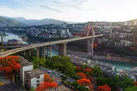 1.8万/胎生育补贴，一座收缩城市的“自救”图片