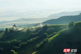 带你看看网友镜头下“那拉提养蜂女”生活的草原有多美图片