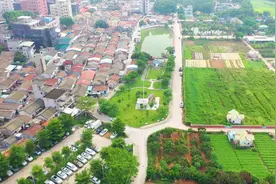 视频｜塘厦“口袋公园”风景亮丽，市民纷纷打卡图片