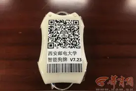 西安邮电大学研发“智能狗牌”可监测遛狗是否拴绳图片