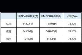 不跑“偏”的人类偏肺病毒图片