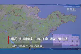 “烟花”影响持续 山东打响“烟花”阻击战视频封面