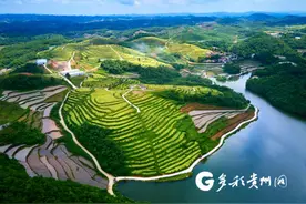 黄红缨：贵州瓮安是我第二故乡图片