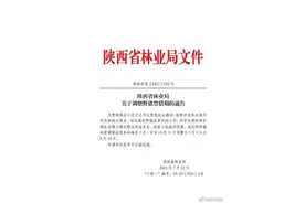 陕西：将野猪禁猎期缩短到每年2个月图片
