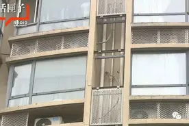 小心！这个大家伙成为沪上小区新的头顶隐患，杀伤力拉满图片