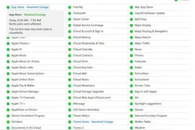 App Store和iTunes Store出现短暂宕机 苹果官方并未披露原因图片