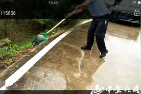 肥西一工地发现国家二级保护动物猪獾图片