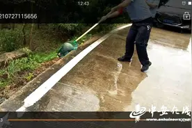肥西一工地发现国家二级保护动物猪獾图片