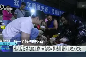 七八月份才有的工作  云南松茸挑选师暑假工收入过万视频封面