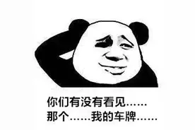 台风后，车牌遗失或损毁了，怎么办？你想知道的都在这→图片