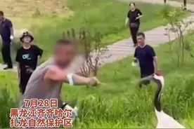 男子挑逗丹顶鹤，丹顶鹤被反复挑逗后终于反击了！景区表示不追责图片