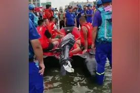 “网红”被指偷救生艇作秀，救援队队长：浪费4小时救援时间视频封面