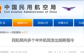 南京疫情源头的国航CA910航班，曾被民航局发布10次熔断指令图片