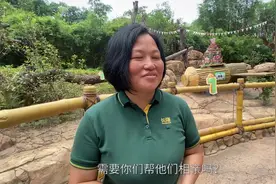 大熊猫三胞胎生日被“催婚”，保育员：7岁在熊猫界已成年图片