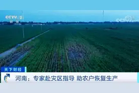 河南1450万亩农作物受灾，绝收550万亩！河南暴雨对我国粮食生产全局影响几何？官方回应图片