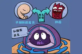 对理解人类基因“暗物质”意义重大，上海科学家首提“RNA分子伴侣”机制图片