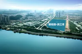 碧桂园滨江湾一线望江大平层住宅引发众多市民关注图片