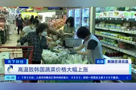 上百万人用水安全受威胁！高温致韩国中部地区最大水源地绿藻成灾图片