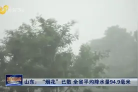 "烟花"散了！山东全省平均降水量94.9毫米，河道湖库水情总体平稳视频封面