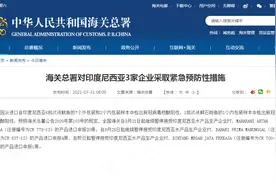 海关总署对印度尼西亚3家企业采取紧急预防性措施图片