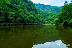山间小墅、云端小池、夜间小酌，青城山这三家民宿等你来！图片
