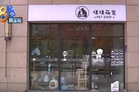 狗狗伤到外耳廓，内耳廓发炎是怎么回事图片