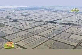 德州扒鸡VS小龙虾 火遍全网的“实力派”美食你Pick哪个？图片